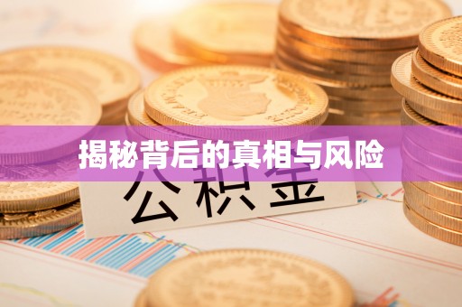 苏尼特左旗揭秘背后的真相与风险