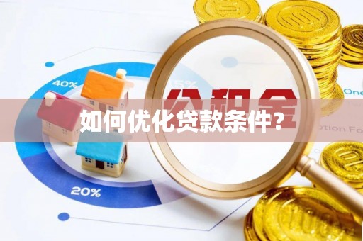 苏尼特左旗如何优化贷款条件？